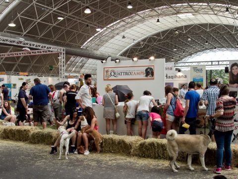 Quattro zampe in fiera: il grande evento per cani e gatti