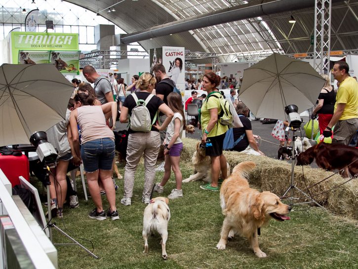 Quattro zampe in fiera il grande evento per cani e gatti Donna Moderna