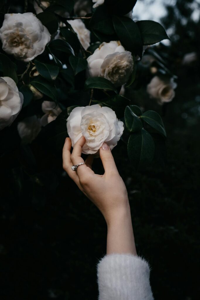 ragazza che tiene in mano una camelia