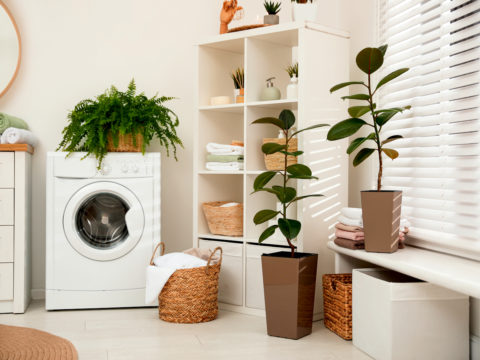 Igienizza e mantieni pulita la lavatrice in questo modo: è economico ed ecologico