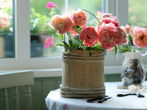 Peonie: bianche, rosa, in vaso o bouquet. Sempre bellissime