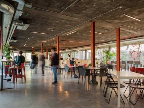 Vuoi lavorare in un coworking?