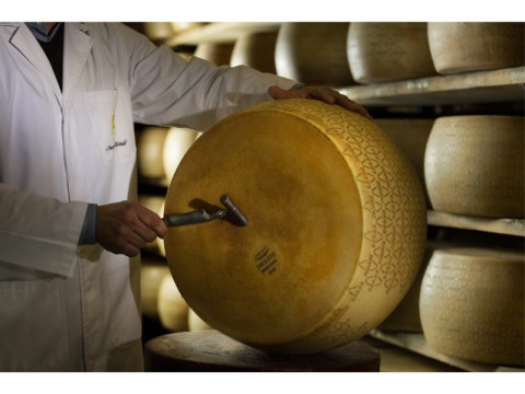 Grana Padano il gusto inconfondibile dell'alta qualità