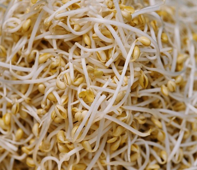Arricchisci i pasti sgonfianti con i germogli