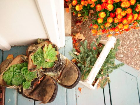 Decorare casa con le piante e i fiori del balcone