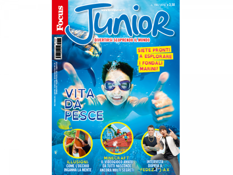 Focus Junior si rinnova