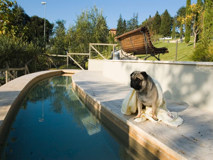 Weekend pet friendly a San Casciano dei Bagni