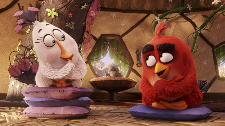 ANGRY BIRDS