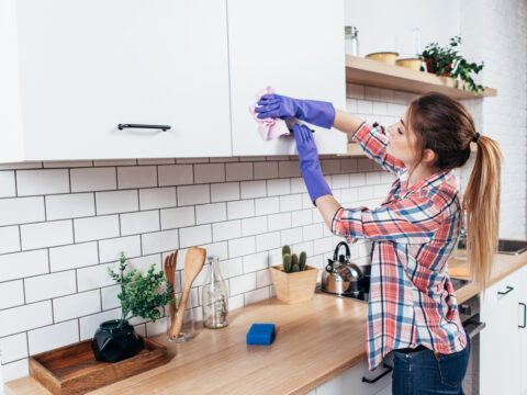 Come evitare la presenza di insetti in cucina