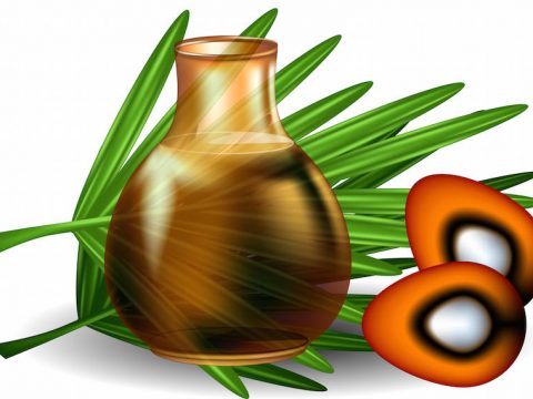 6 cose che non sai sull'olio di palma