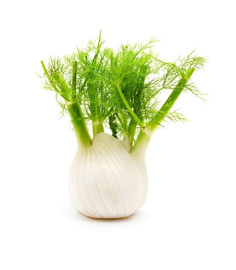 Mangia il finocchio