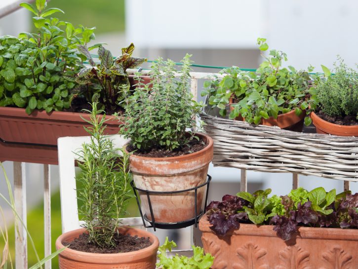 Orto sul balcone