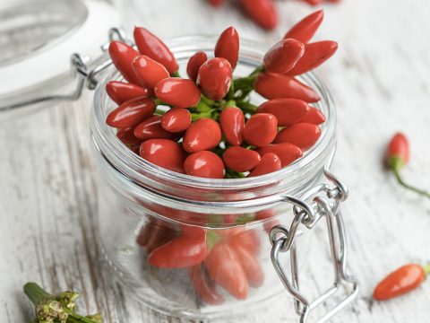 Come coltivare il peperoncino ed essiccarlo per l’inverno