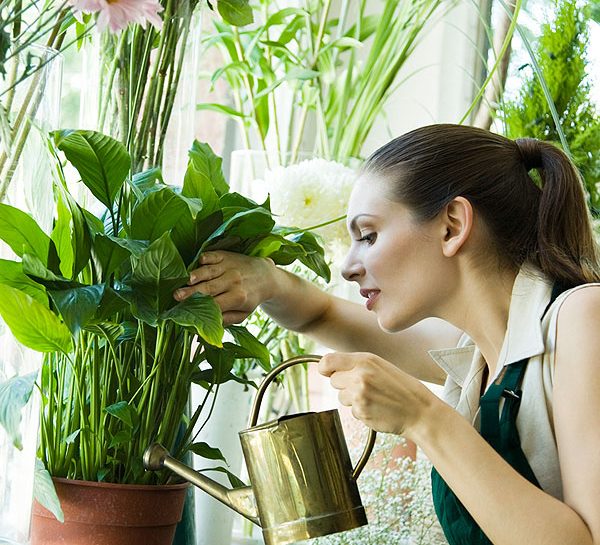 Annaffiare le piante quando sei in vacanza