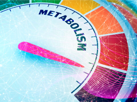 Tutte le dritte per risvegliare il tuo metabolismo con la dieta