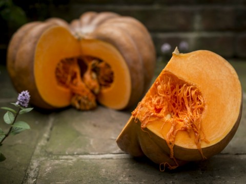 Zucca: come cucinarla e le migliori ricette