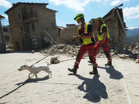 Assicurazione contro i terremoti, come funziona