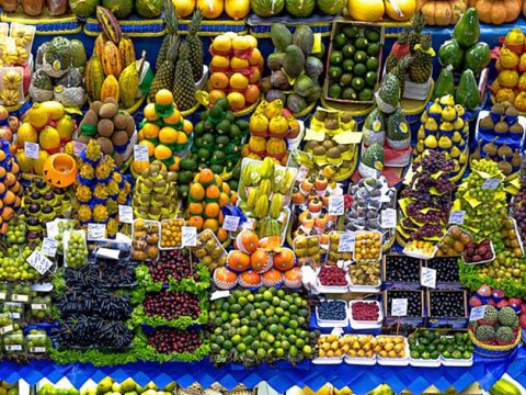 Dieta vegana: “Carcere per chi la impone ai figli”