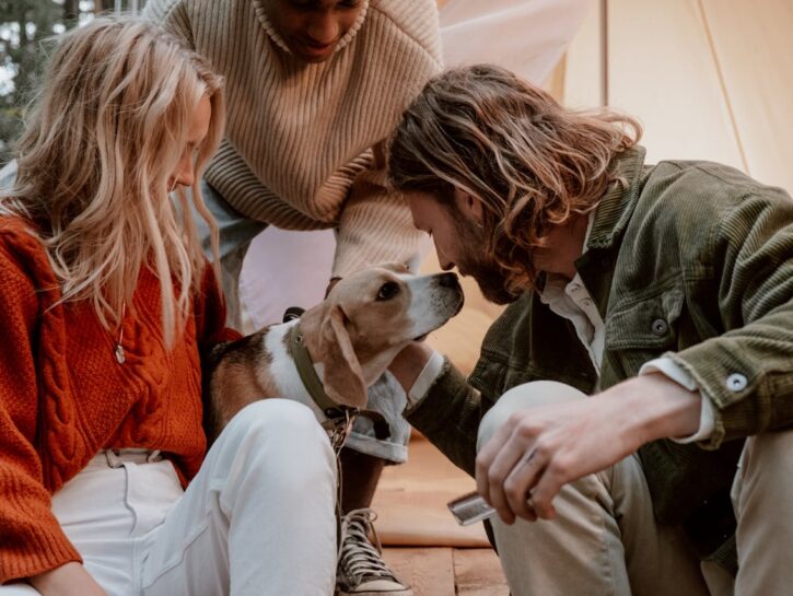 Come fare se il cane se il cane non può venire in vacanza con noi