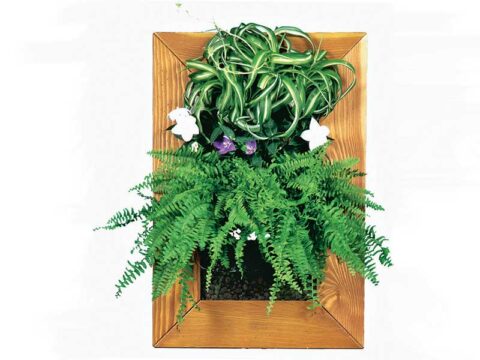 Verde verticale: come decorare le pareti con le piante