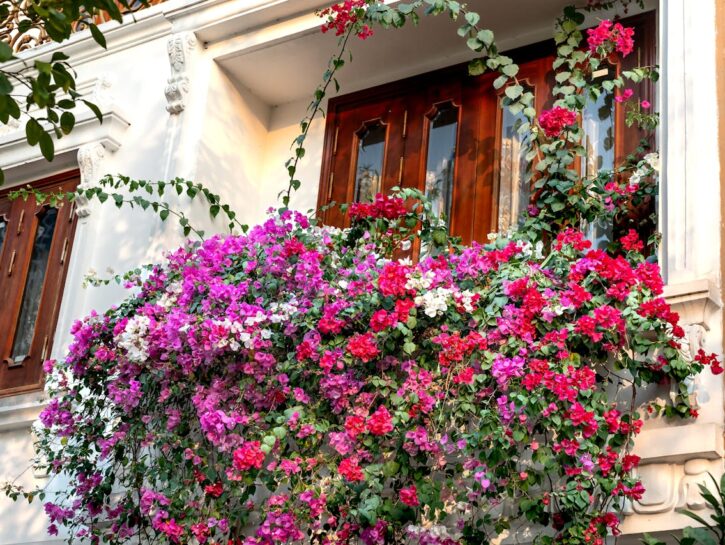 Come realizzare un giardino da balcone