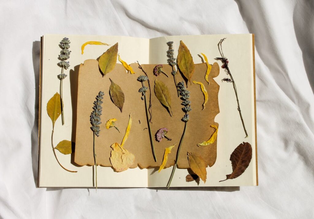 fiori secchi in un quaderno