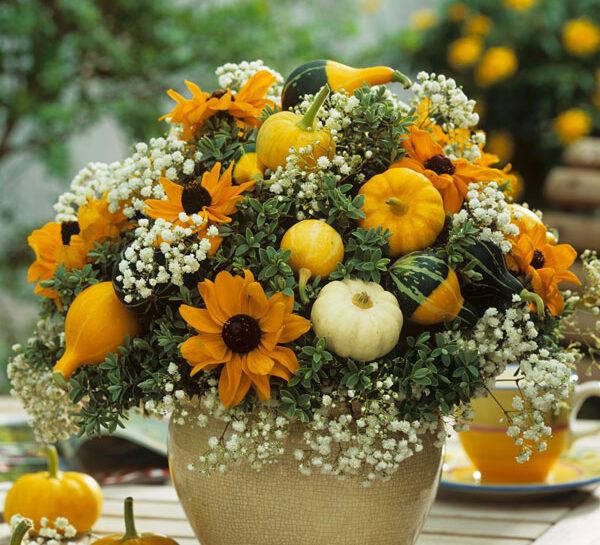 Zucche e fiori nel vaso