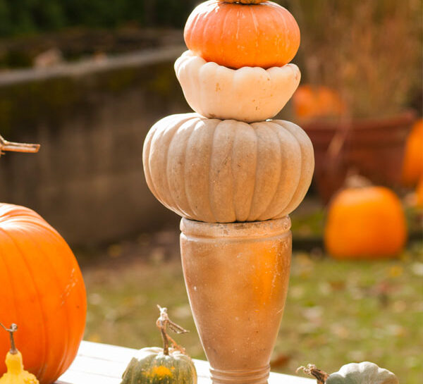Le zucche per il giardino autunnale