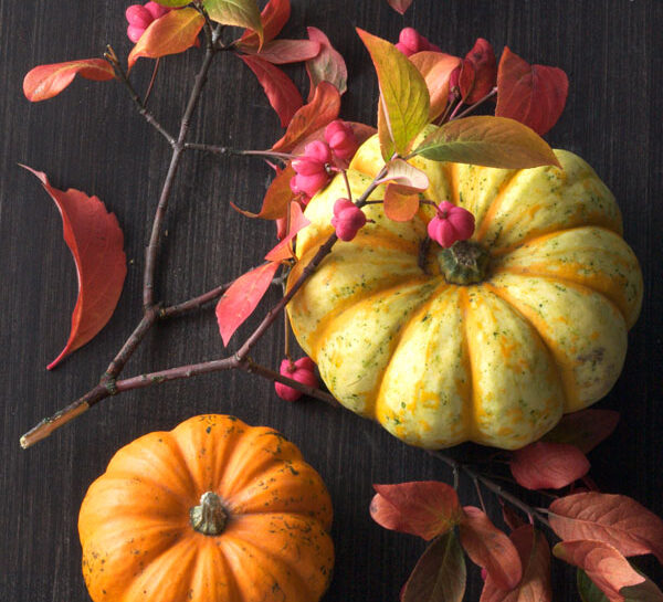 Zucche e foglie d'autunno