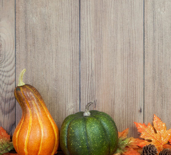 Tutti gli "ingredienti" dell'autunno