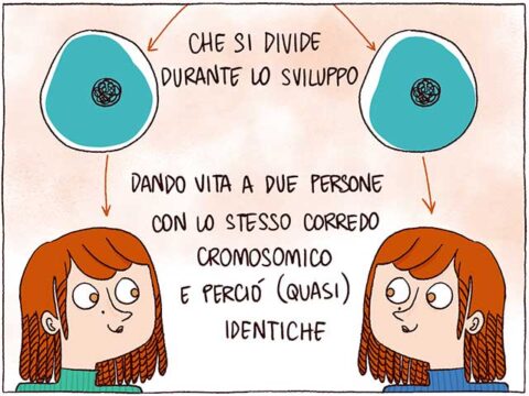 I gemelli sono sempre di più