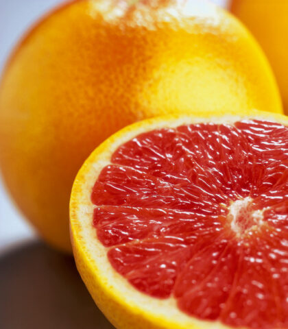 Potenti e chirurgici nell'azione antimicrobicaUno dei rimedi naturali più consigliati e più effica
