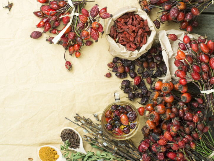 Biancospino e rosa caninaI petali sono caduti, ma sui cespugli spogli spicca il colore rosso delle