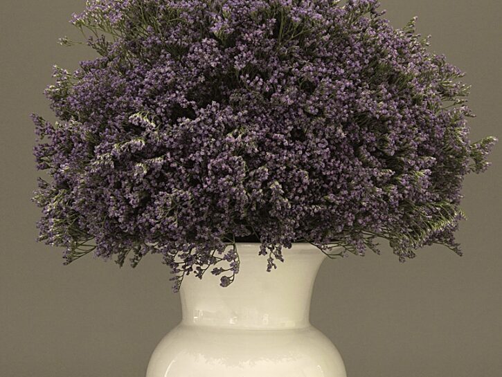 Il vaso classico con i limonium