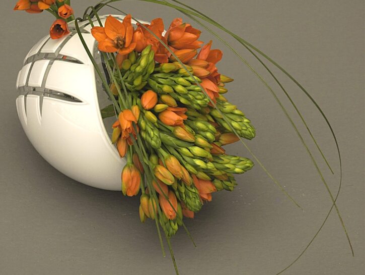 Il vaso a conchiglia con ornitogalo dubium e bear grass