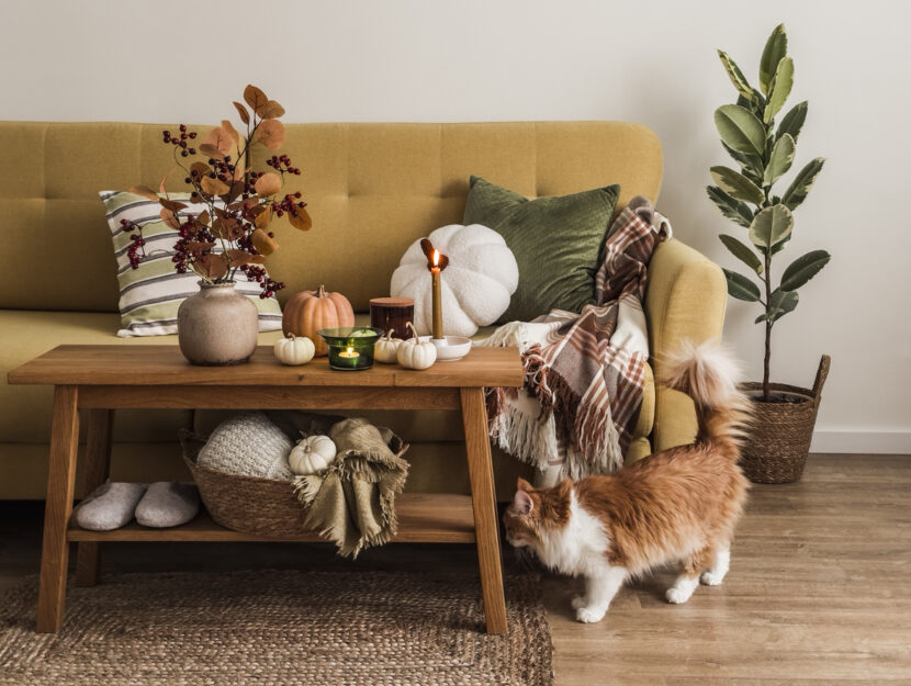 Decorare casa con le zucche