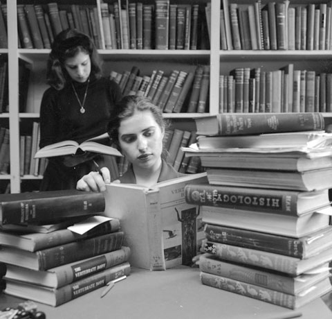 Davvero vogliamo scoprire chi è Elena Ferrante?