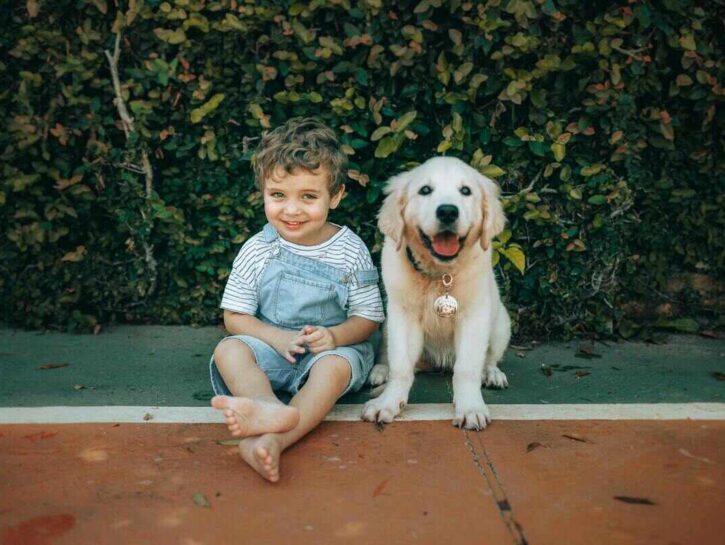Le razze di cani più adatte ai bambini: guida completa per scegliere il compagno perfetto