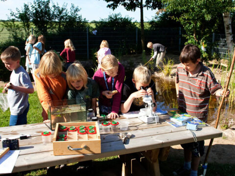 Le scuole alternative per i tuoi figli