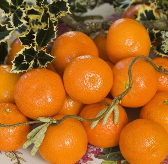Frutta sì, ma non tutti i tipi sono "dietetici"
