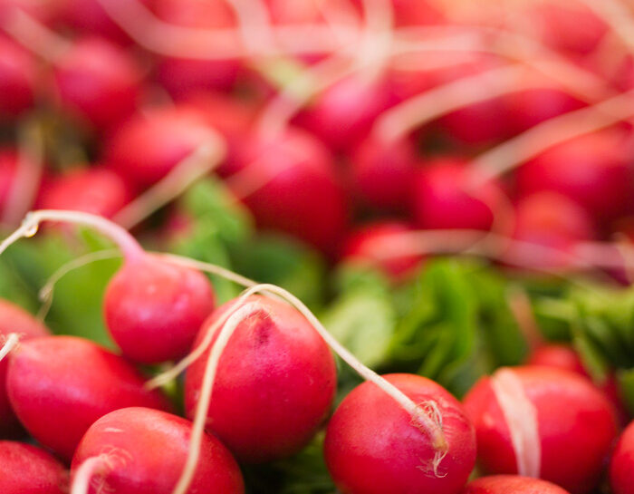 Ravanello, ipocalorico amico della dieta
