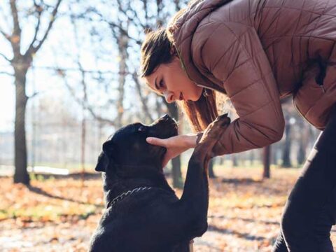 Il cane scopre se hai un tumore