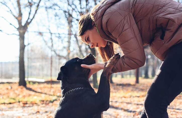 cane con ragazza