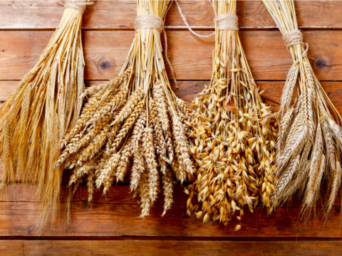 Ecco perché i cereali sono un tassello fondamentale di una dieta equilibrata