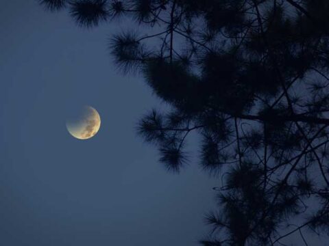 Luna e stelle cadenti spettacolari a dicembre