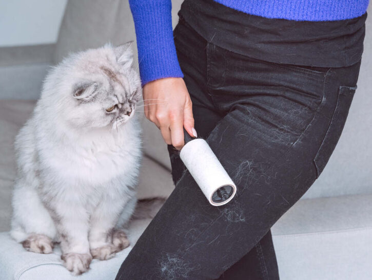 10 consigli per eliminare il pelo di gatto dai vestiti