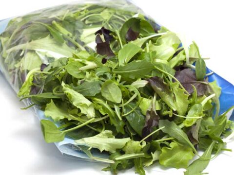 Rischio salmonella nelle insalate in busta