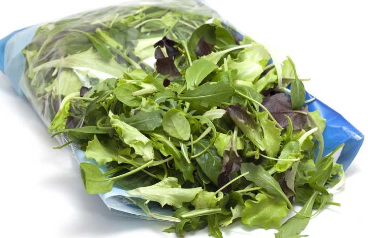 insalata in busta