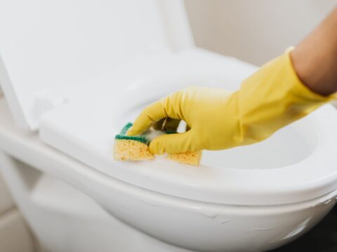 Come pulire il wc in modo ecologico