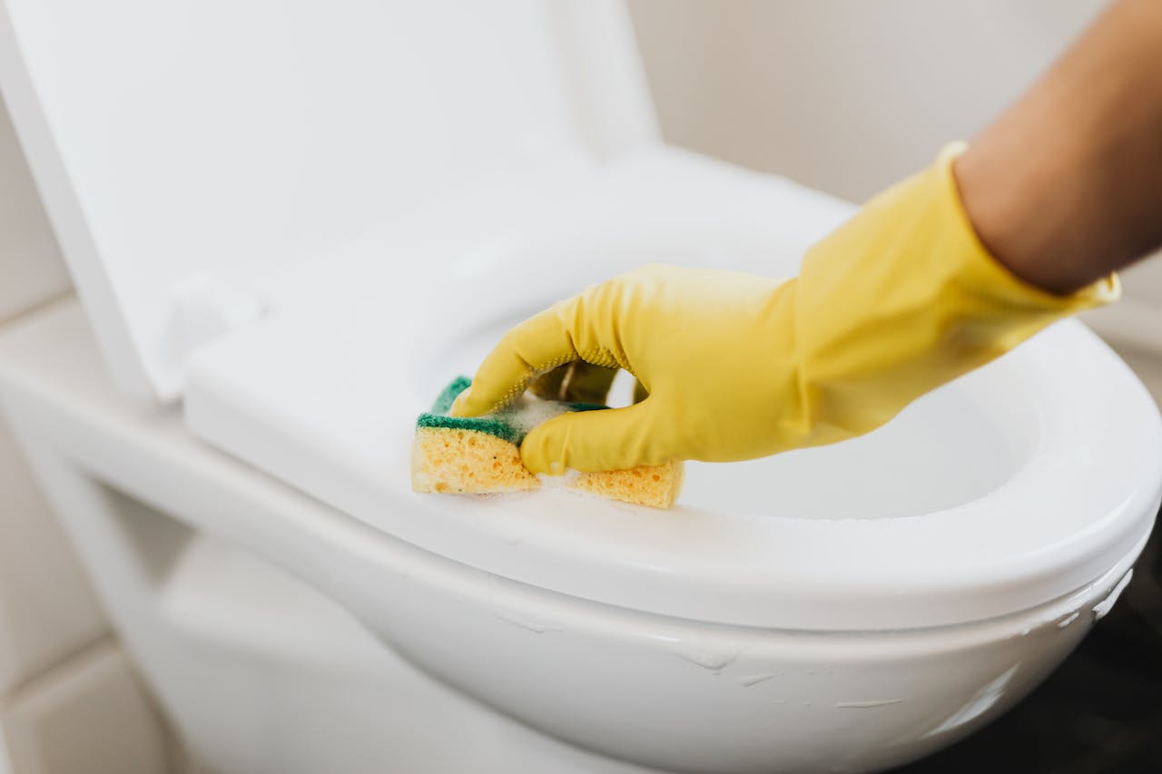 Come pulire il wc in modo ecologico - Donna Moderna
